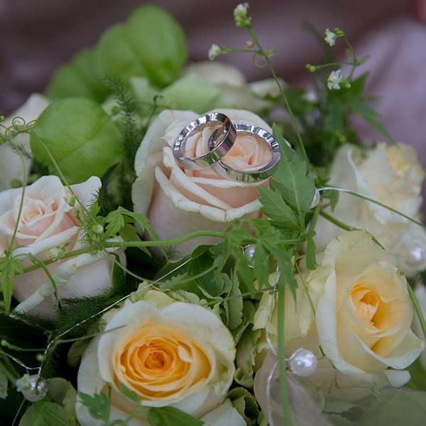 flores brancas