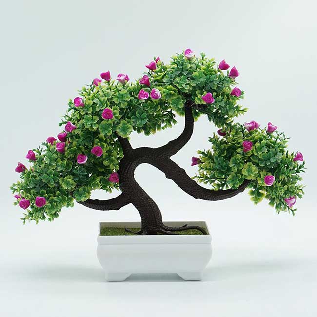 bonsai de mini roseira