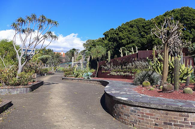 como fazer jardim de suculentas como fazer jardim de suculentas