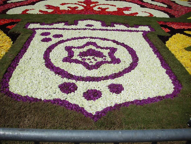 Fotos de tapete de flores 1 2