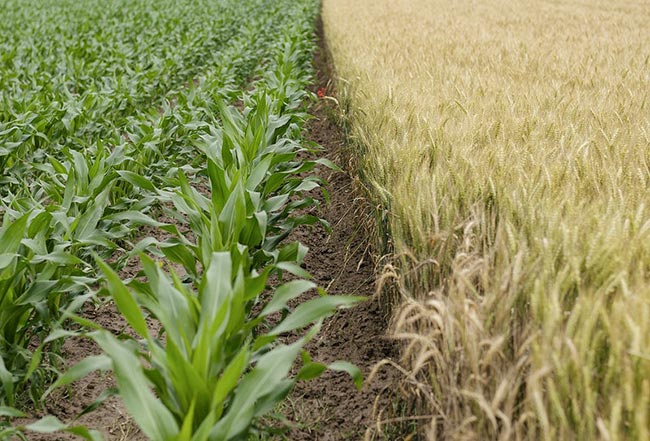 para agricultura 2