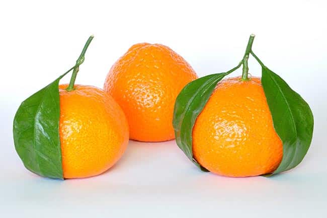 Citrus reticulata fruto Citrus reticulata fruto