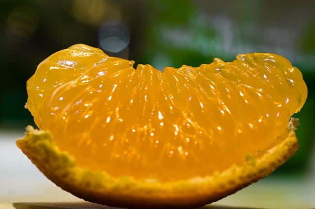 Citrus reticulata semente Citrus reticulata semente