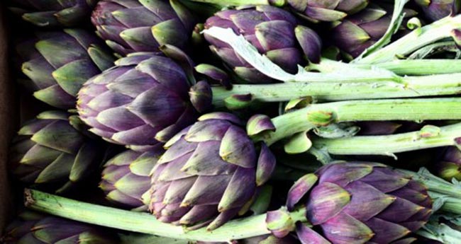 alcachofra frutas