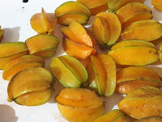 pomar Averrhoa carambola