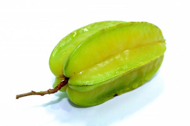 semente Averrhoa carambola