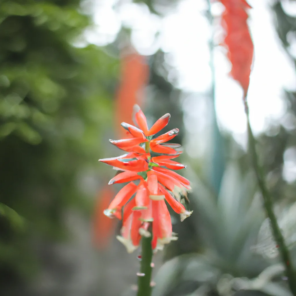 Dicas As Flores Mais Bonitas do Mundo Descubra as Variedades Mais Dicas As Flores Mais Bonitas do Mundo Descubra as Variedades Mais
