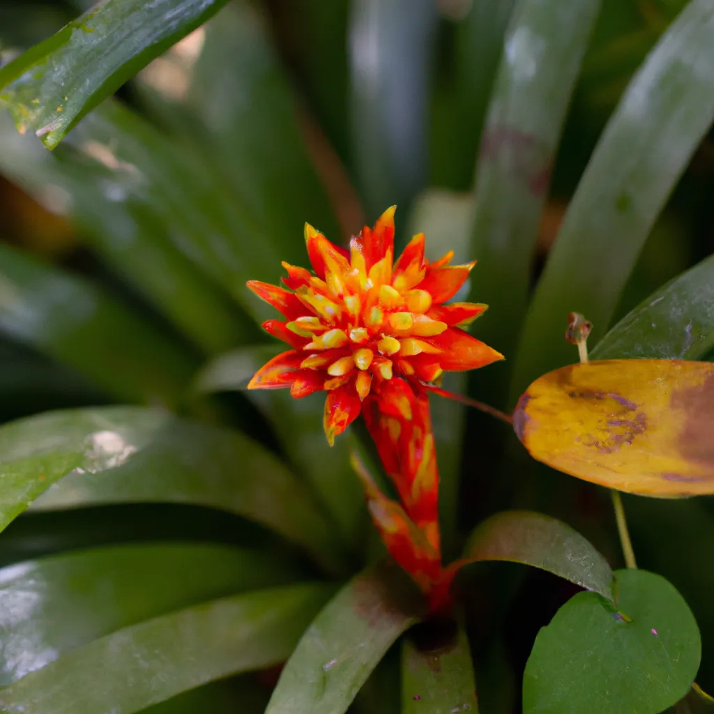 Dicas Descubra os Beneficios da Jardinagem com Flores Dicas Descubra os Beneficios da Jardinagem com Flores