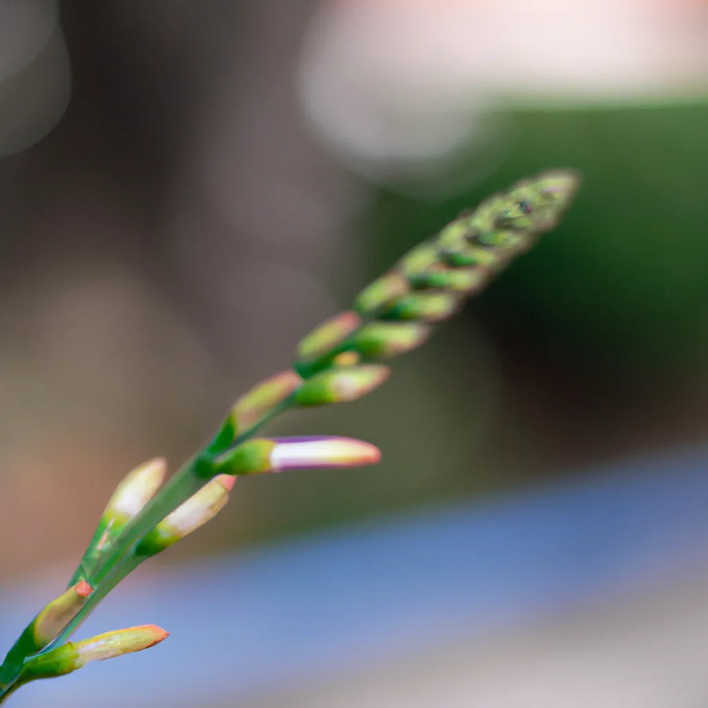 Dicas ultimas descobertas fisiologia plantas