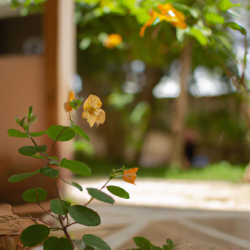 Fotos 10 Maneiras de tornar seu jardim mais sustentavel
