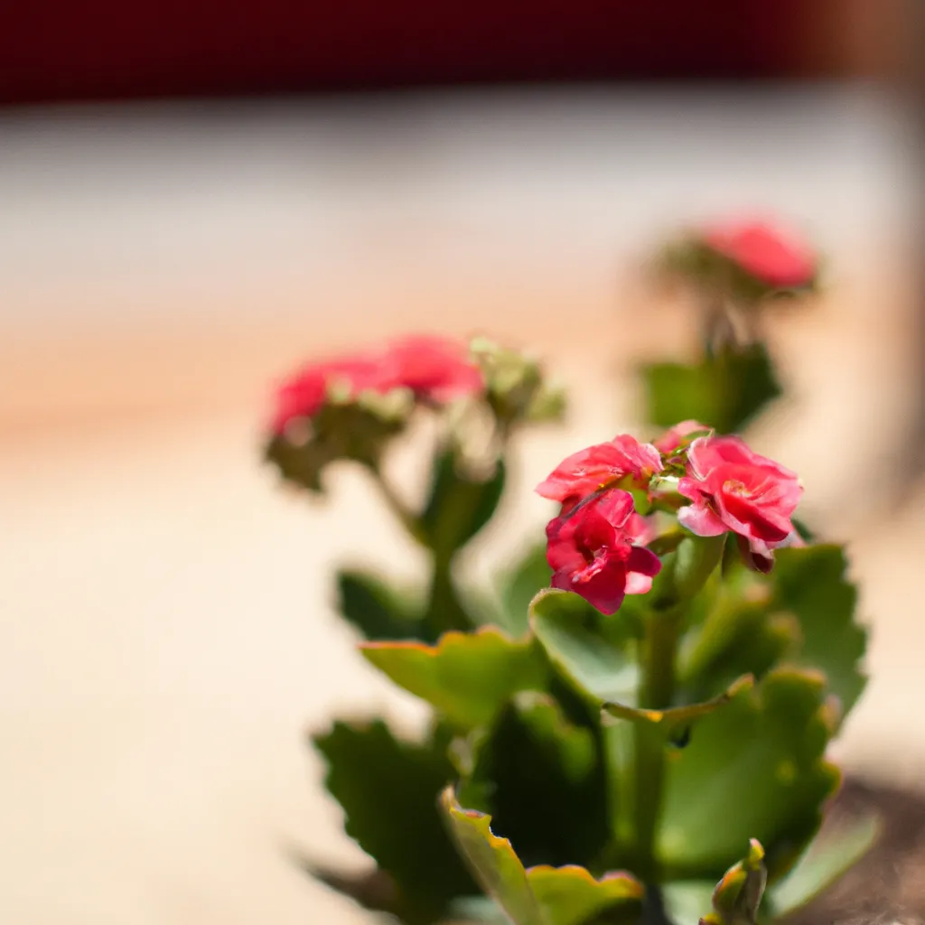 Fotos Como Escolher a Melhor Flor Ornamental para Seu Jardim Fotos Como Escolher a Melhor Flor Ornamental para Seu Jardim