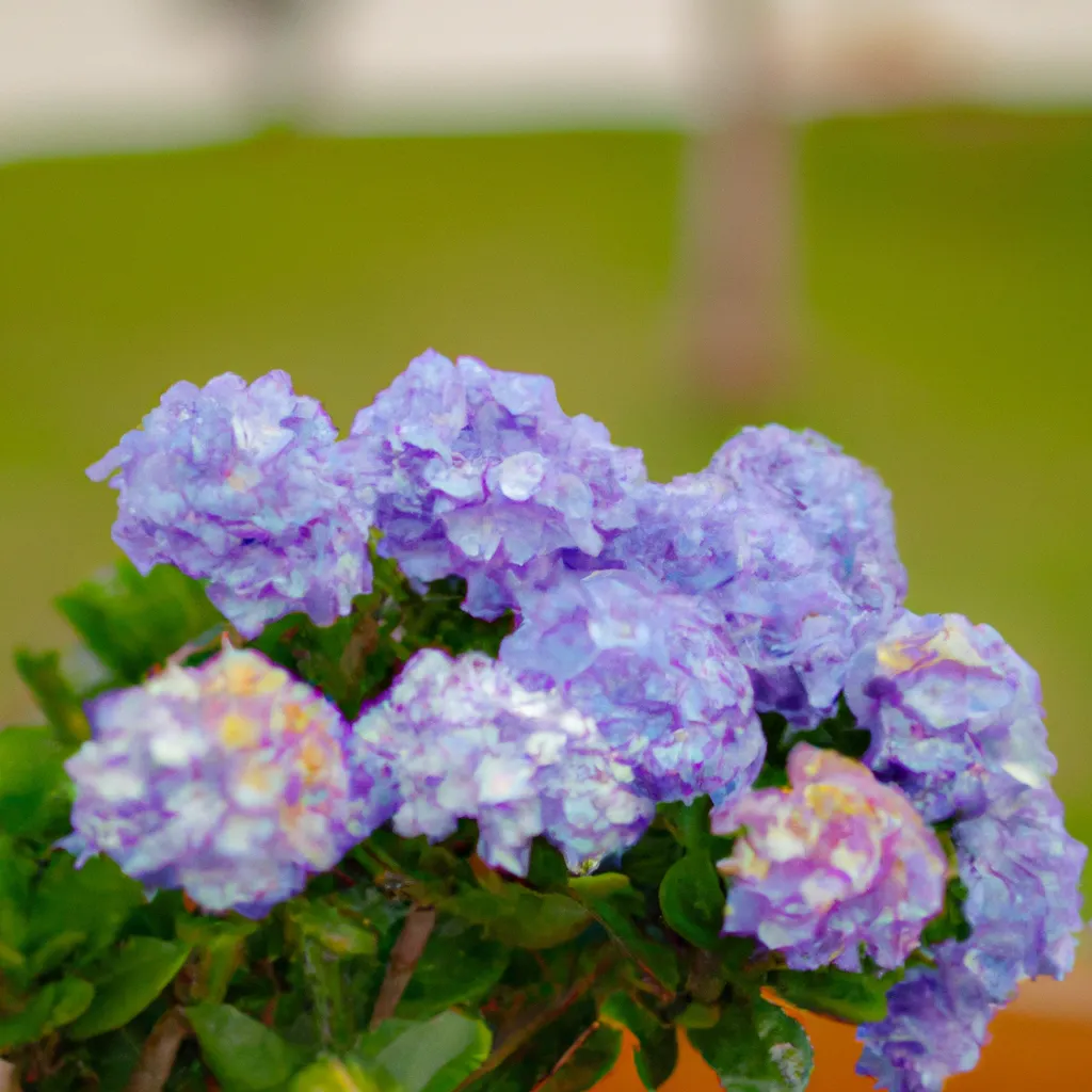 Fotos Como Identificar Doencas nas Flores Ornamentais