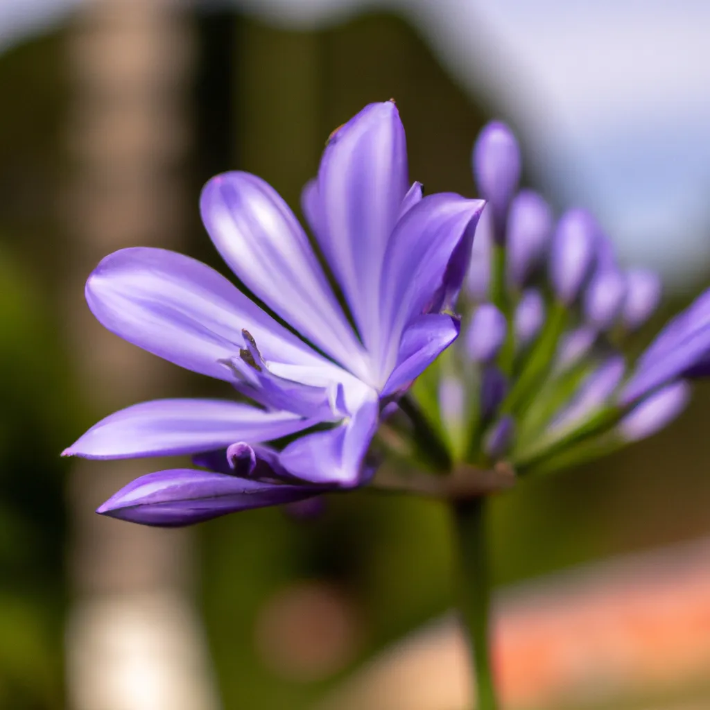 Fotos Conheca os Tipos de Flores Exoticas Mais Populares do Mundo