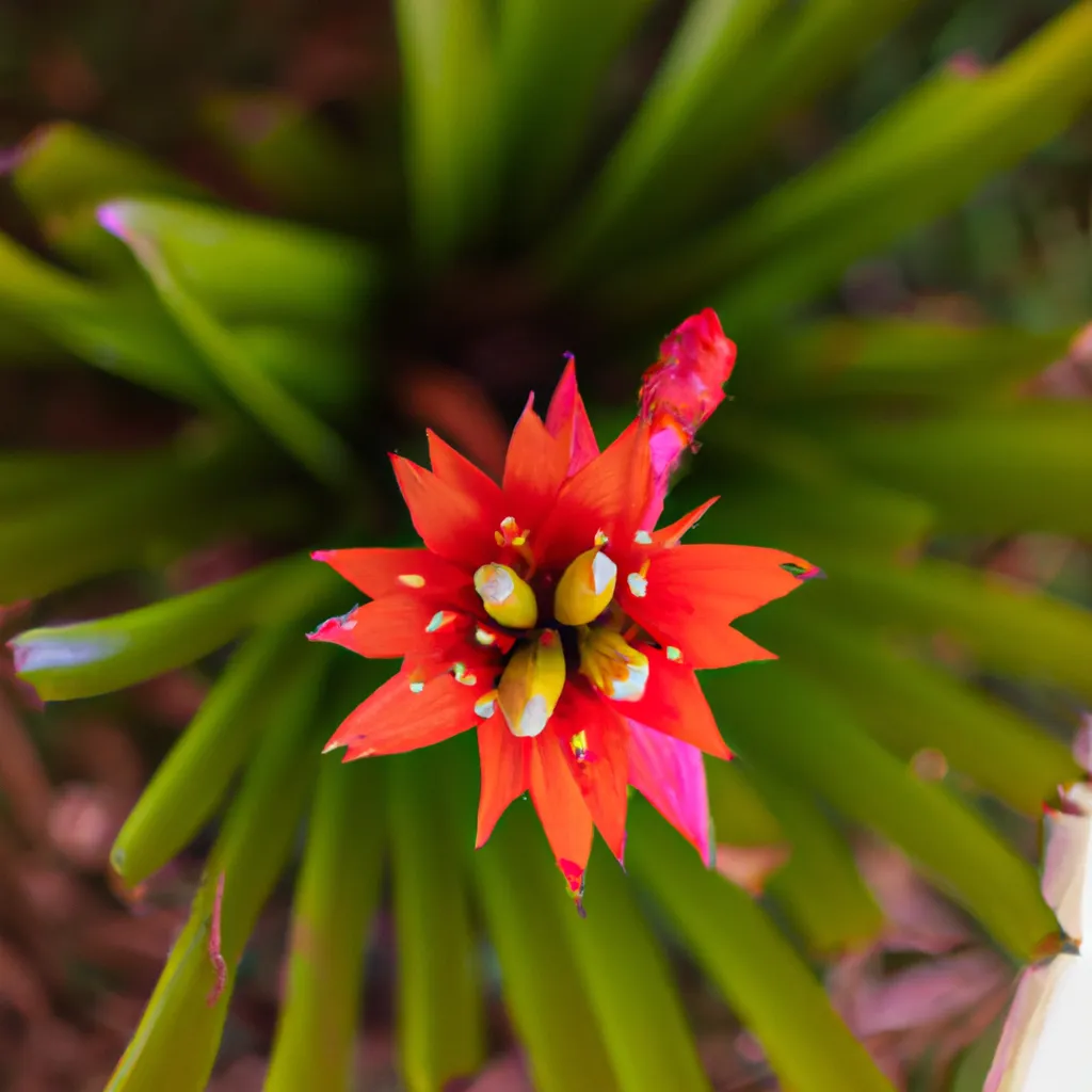 Fotos Descubra os Beneficios da Jardinagem com Flores Fotos Descubra os Beneficios da Jardinagem com Flores