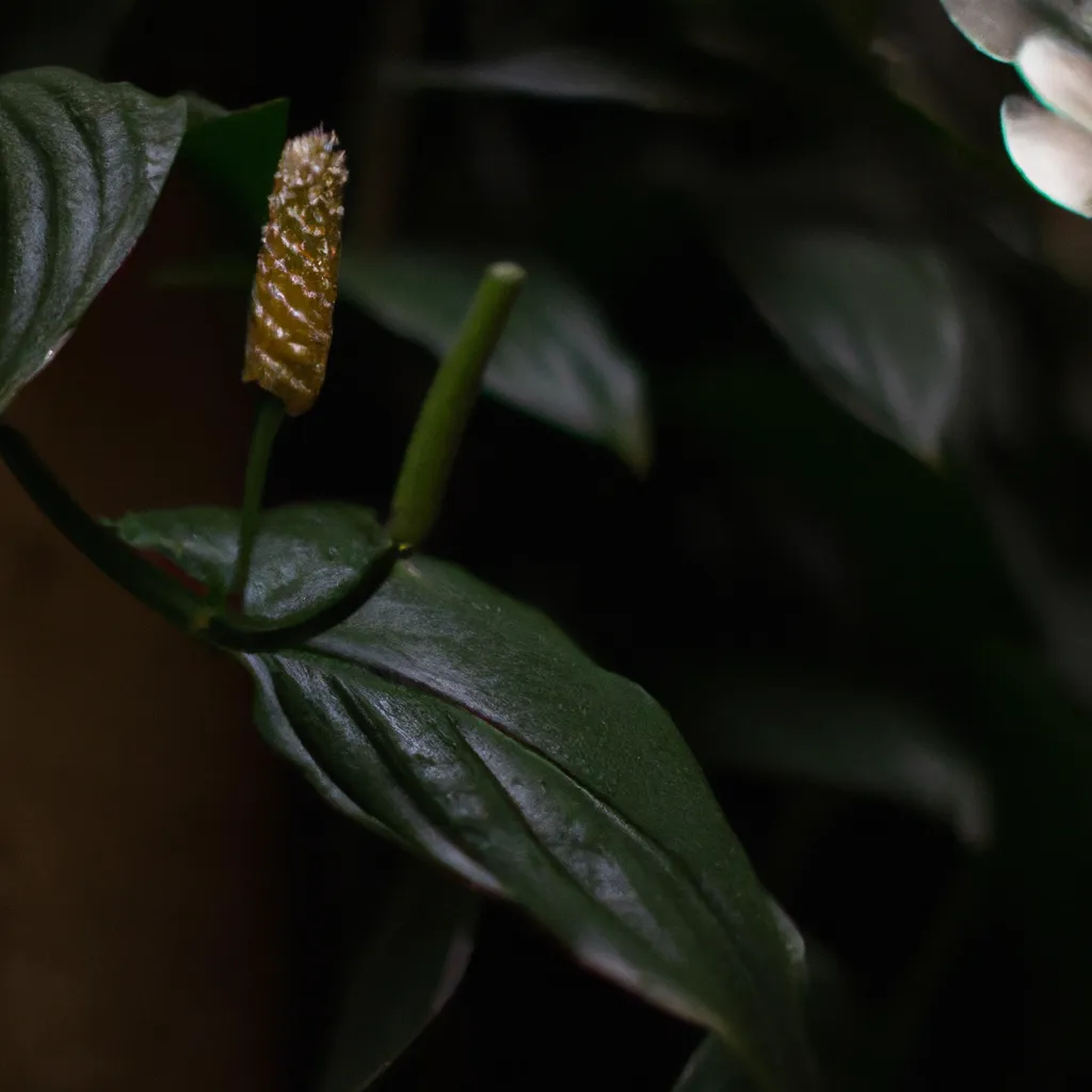 Fotos O que torna as plantas tropicais tao unicas