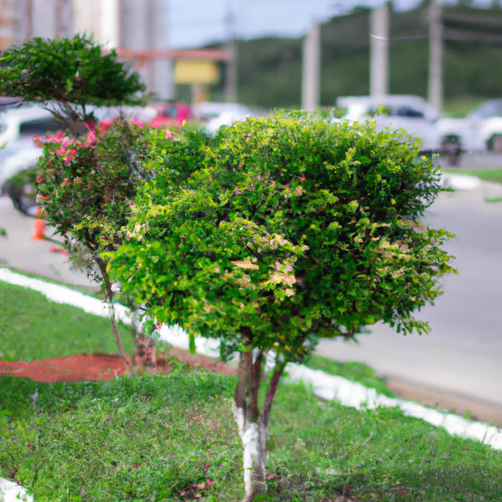 Fotos Valorizacao dos espacos verdes urbanos com arvores Fotos Valorizacao dos espacos verdes urbanos com arvores