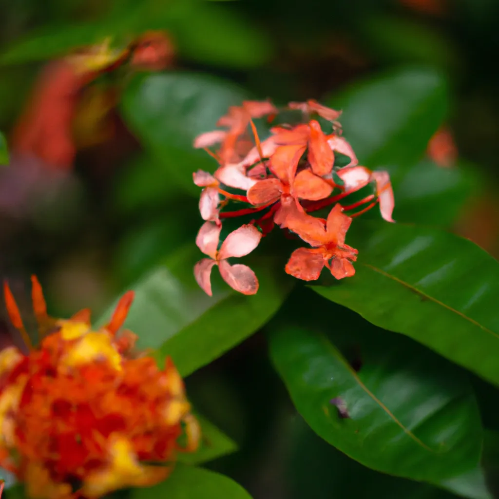 Ideias Descubra os Beneficios da Jardinagem com Flores Ideias Descubra os Beneficios da Jardinagem com Flores