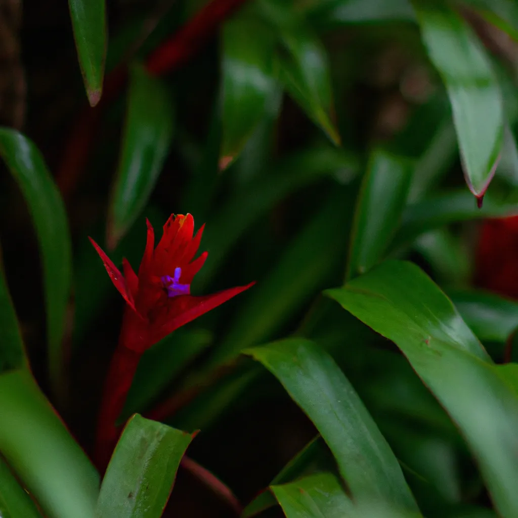 Ideias O que torna as plantas tropicais tao unicas