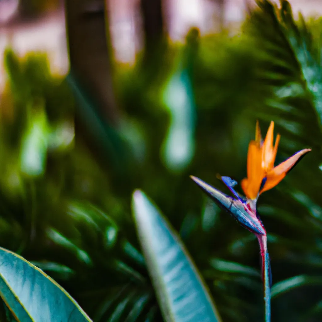 Ideias Por que as plantas tropicais sao tao