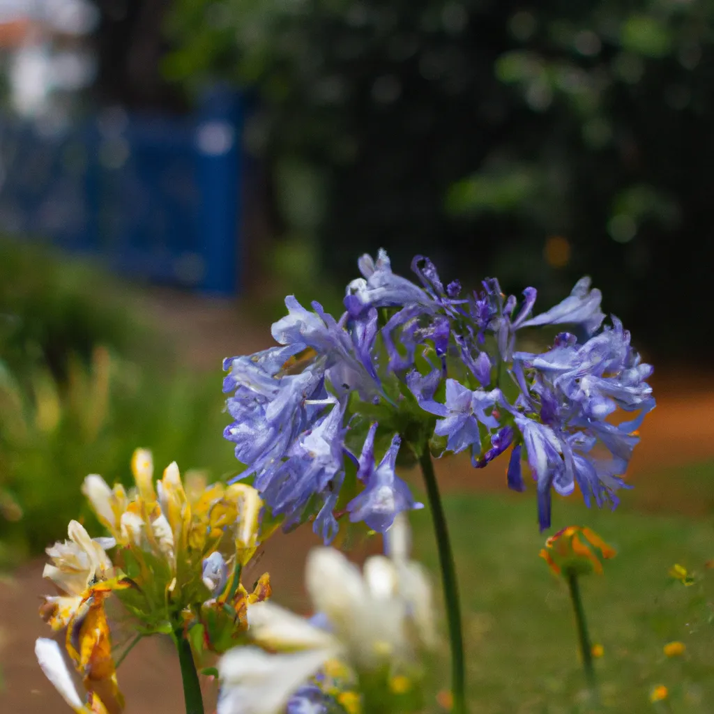 Ideias as flores jardins historico