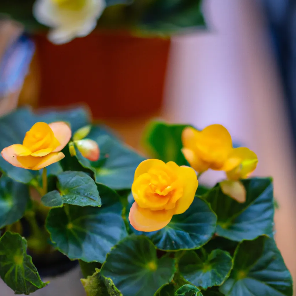 Ilustracao As Flores Ornamentais Mais Faceis de Cultivar