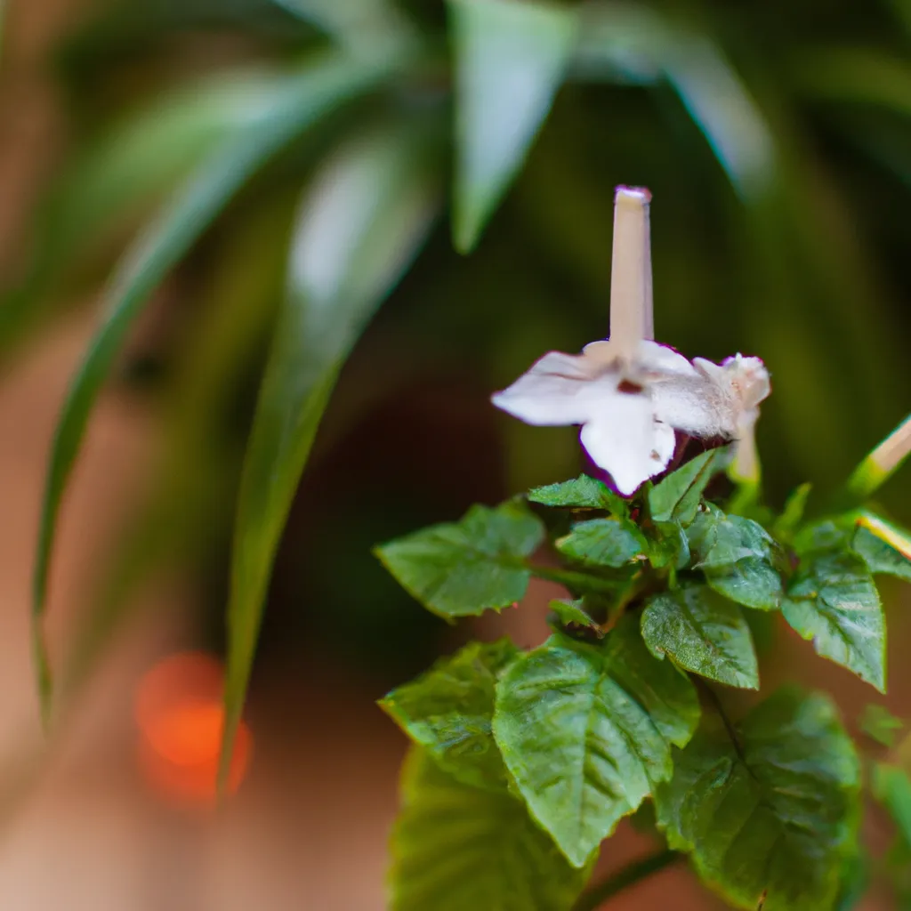 Ilustracao Tudo Sobre as Flores Exoticas Durante o Inverno Como Cuidar delas