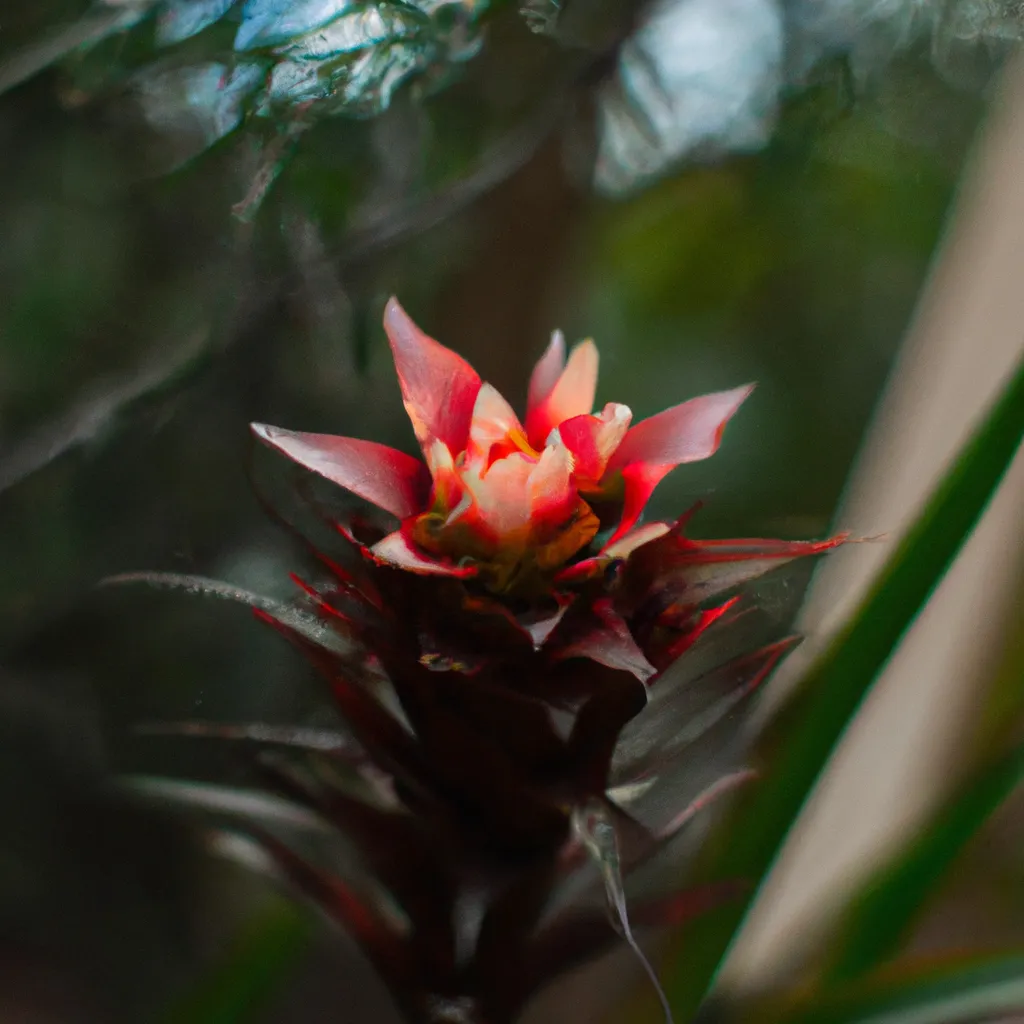 Imagem As Flores Ornamentais Mais Raras e Caras