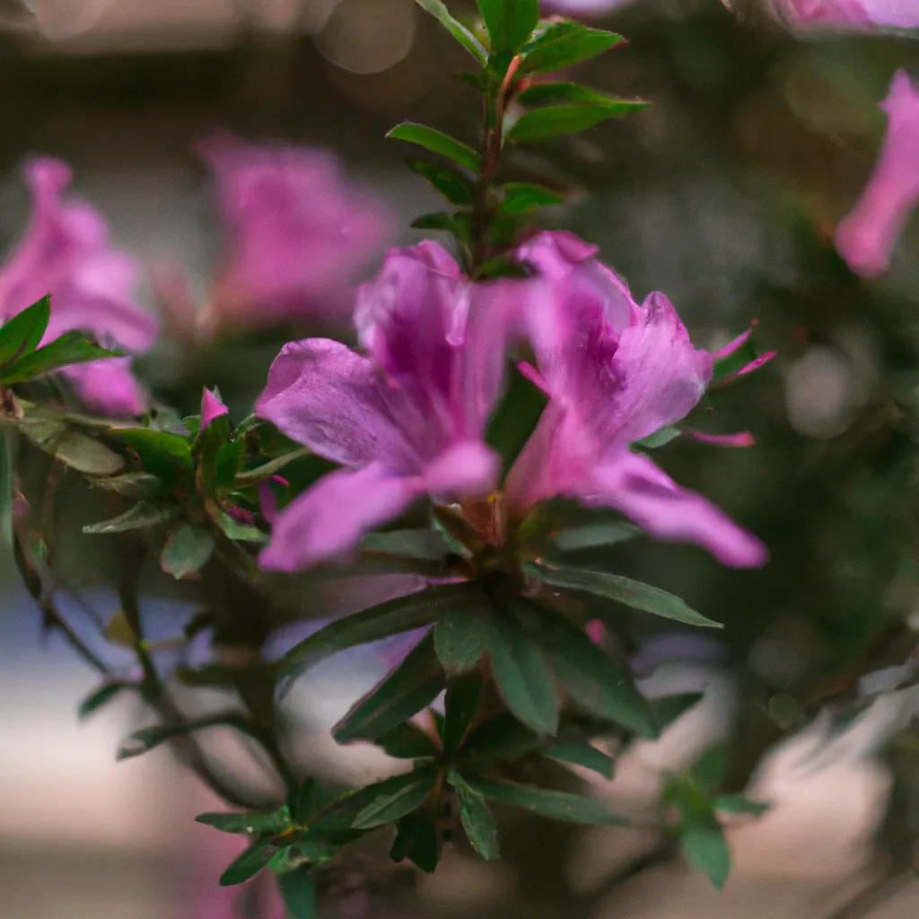 Imagem As principais pragas e doencas das flores aromaticas
