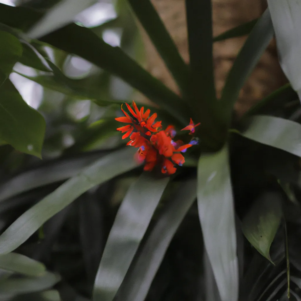 Imagem Conheca os Tipos de Flores Exoticas Mais Populares do Mundo