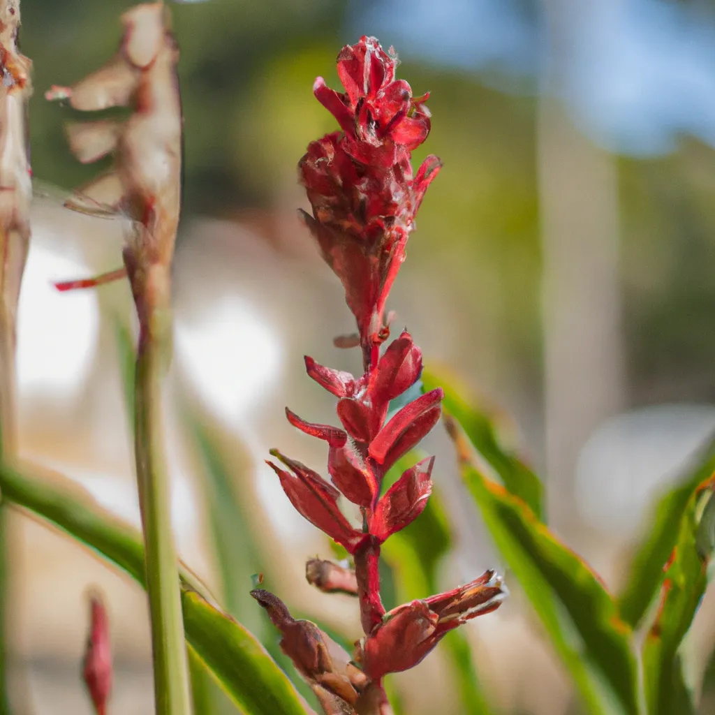 Imagem Criacao de Jardins Exoticos Como Usar Flores Exoticas para Criar um Ambiente Unico