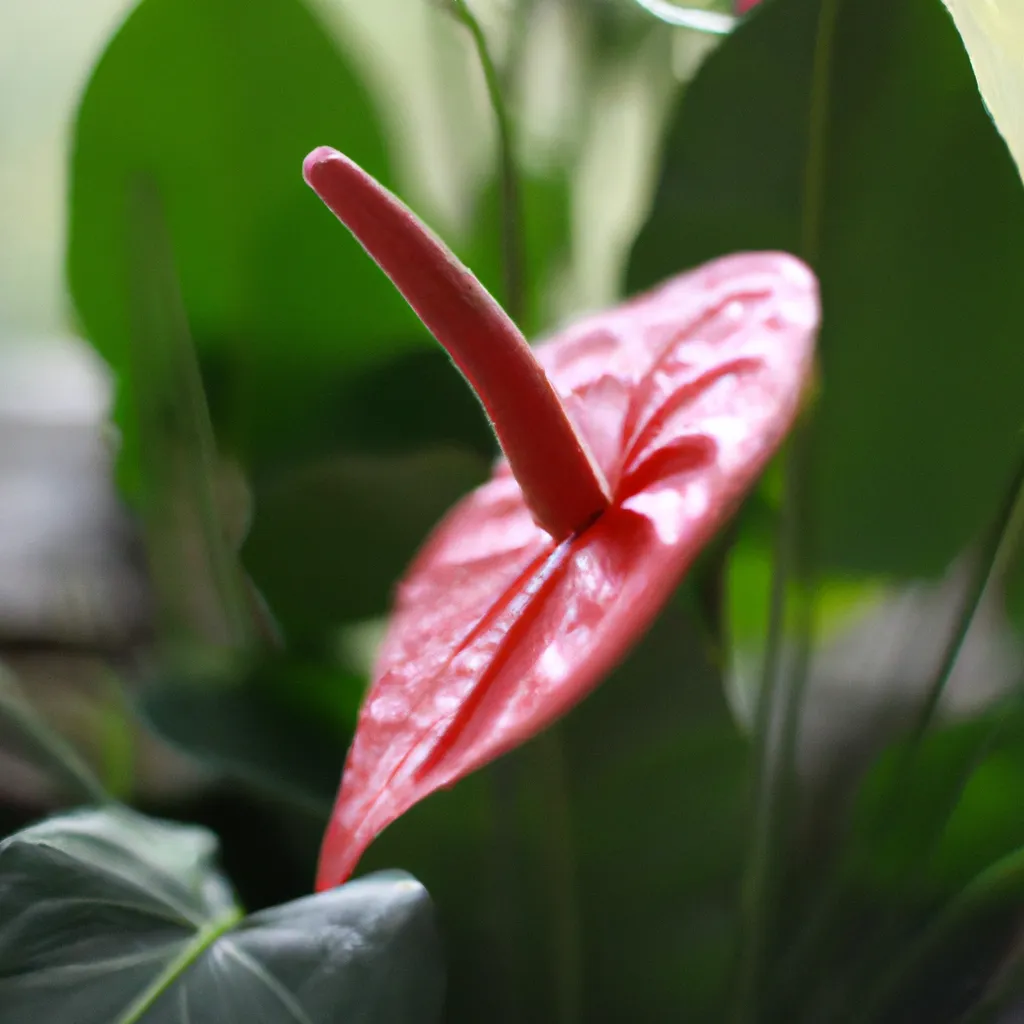 Imagem Cuidados com Flores Exoticas O que Fazer para Mante las Saudaveis