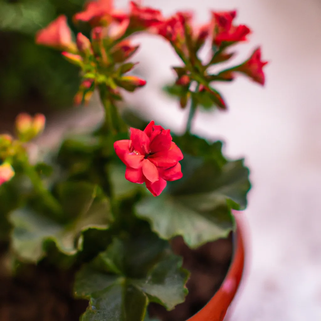 Imagem Flores Exoticas como Horta Em Casa Conheca as Possibilidades