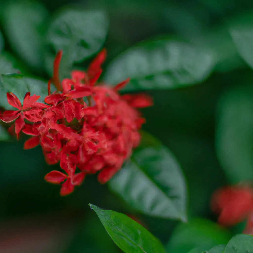 Imagem Flores Exoticas no Jardim Por Que Escolher