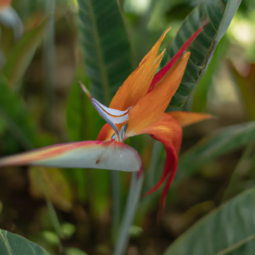 Imagem Os Beneficios e Desvantagens das Flores