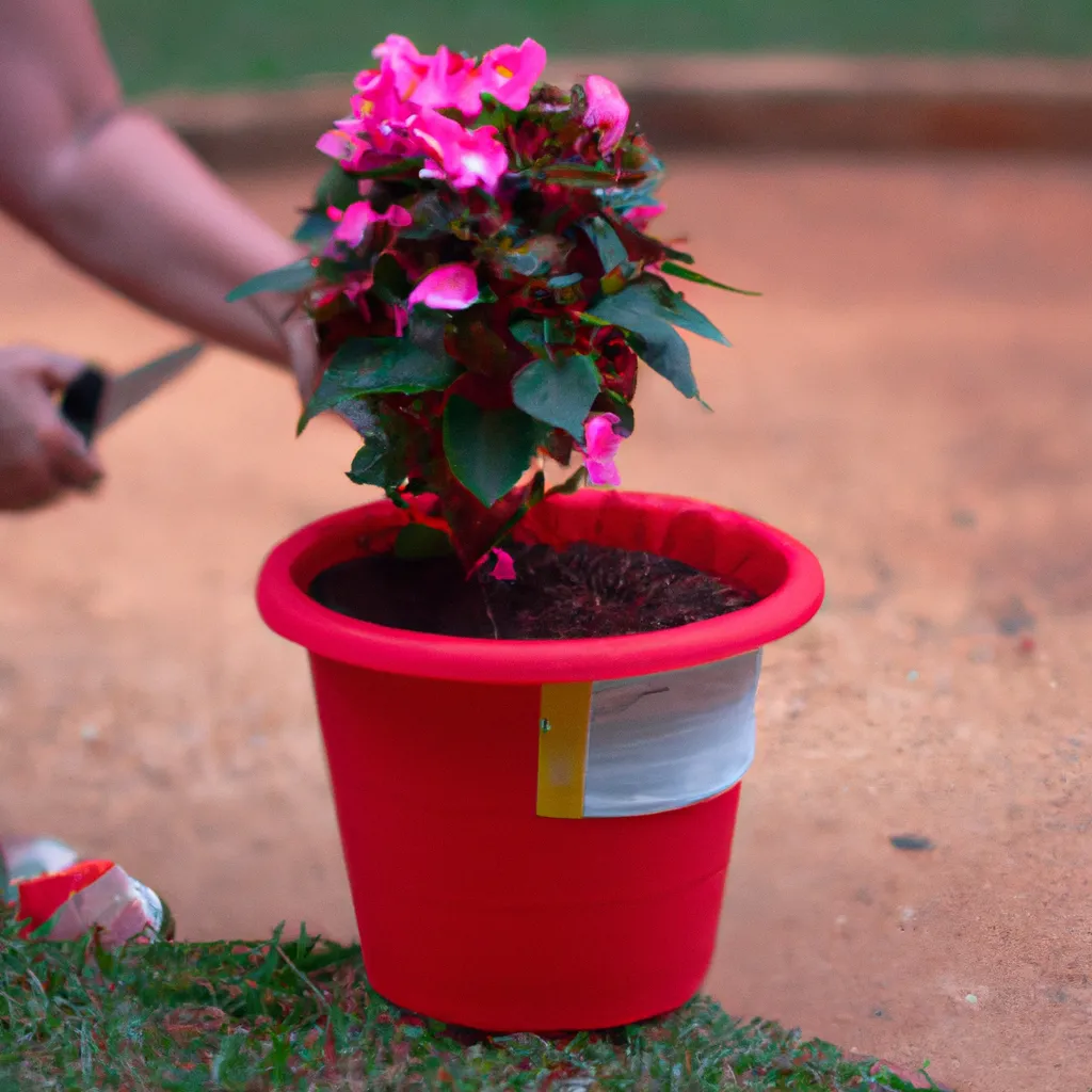 Imagem Tecnologias para Ajudar no Cultivo de Flores Ornamentais