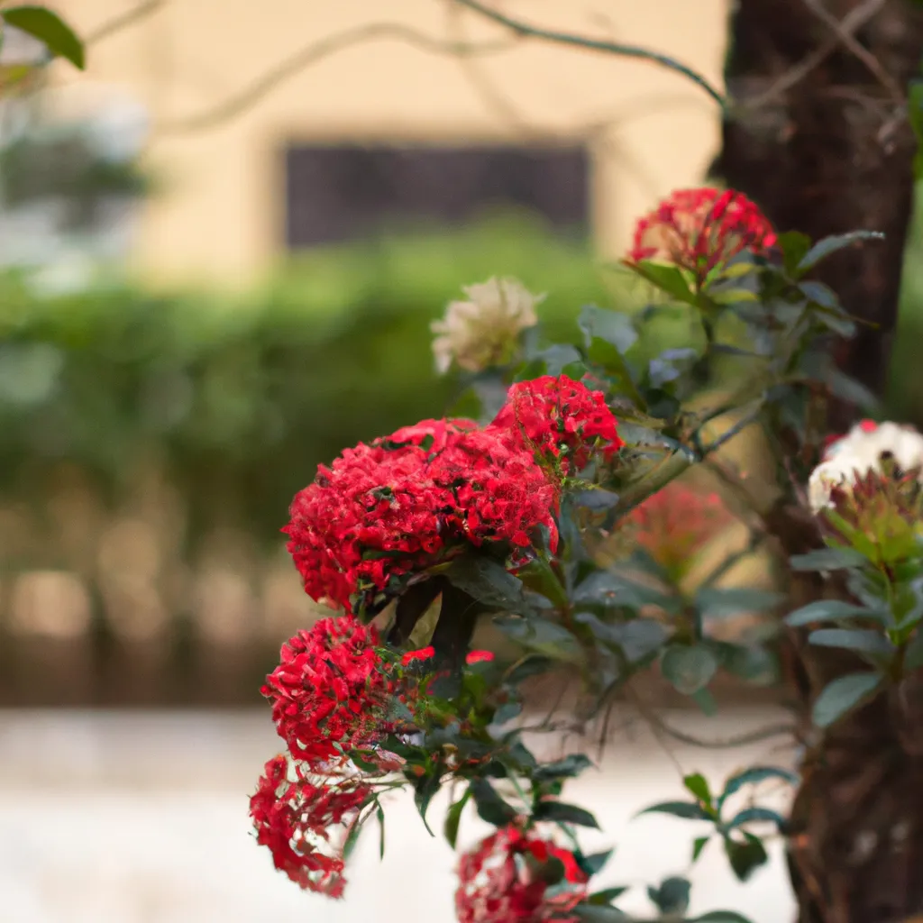 Imagens Como Identificar Doencas nas Flores Ornamentais