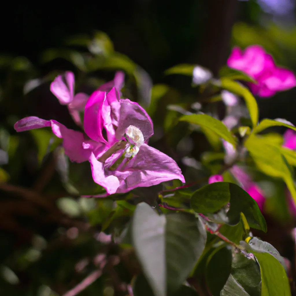 Imagens Flores Exoticas como Horta Em Casa Conheca as Possibilidades