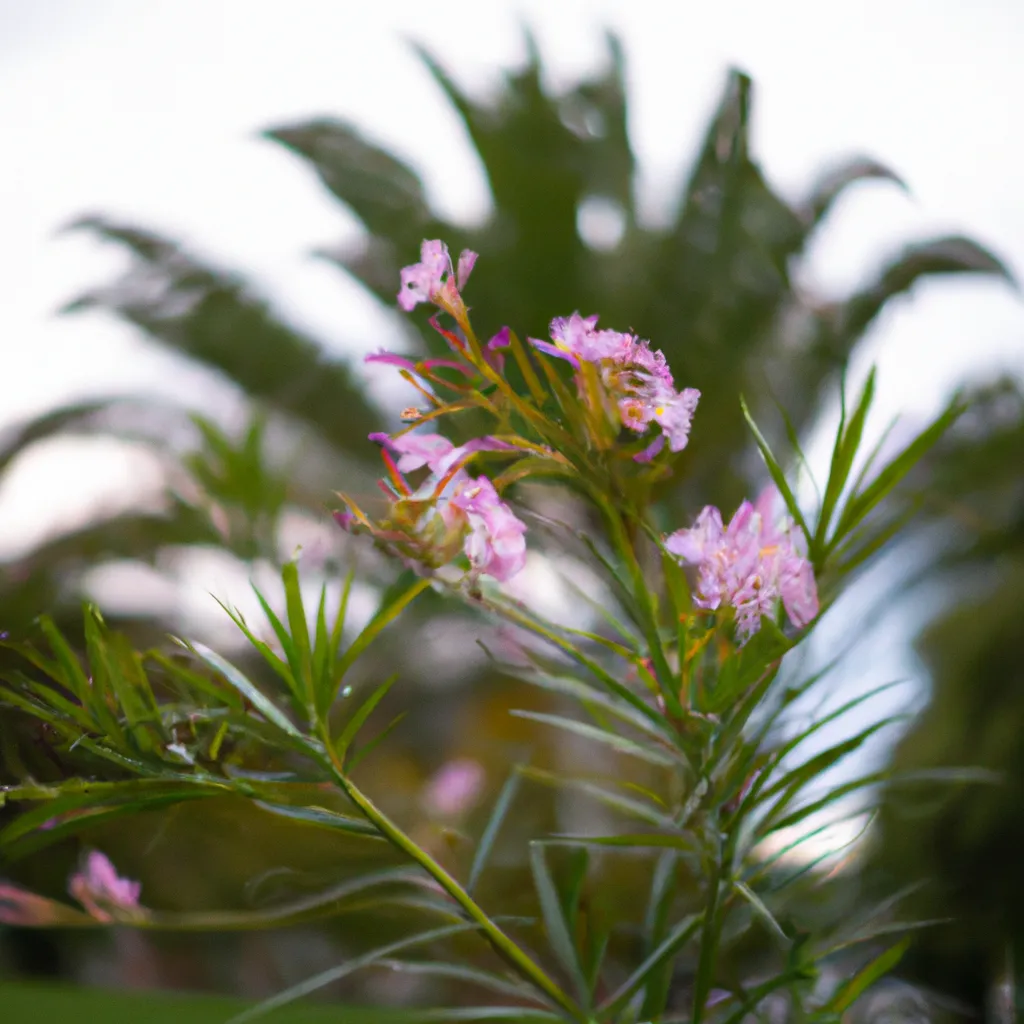 Imagens Integrando flores e plantas ao design do seu jardim com a Palmeira