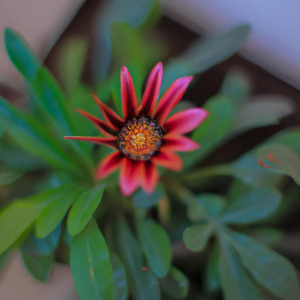 Imagens Os Beneficios e Desvantagens das Flores