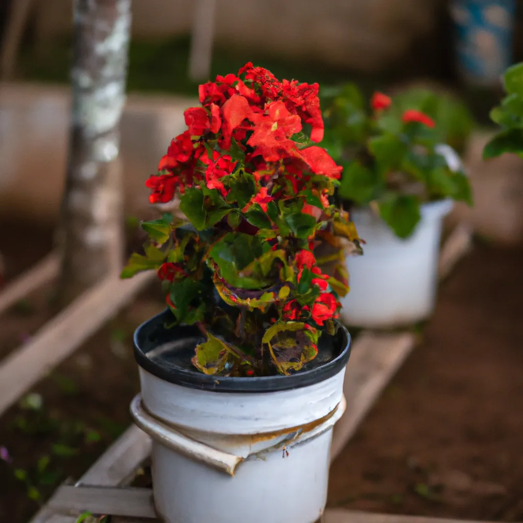 Imagens Tecnologias para Ajudar no Cultivo de Flores Ornamentais
