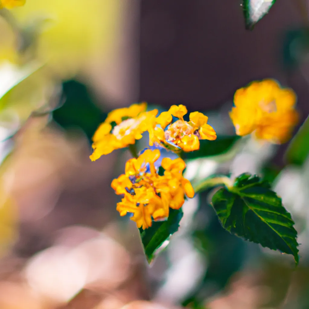 Imagens usos medicinais plantas flores Imagens usos medicinais plantas flores
