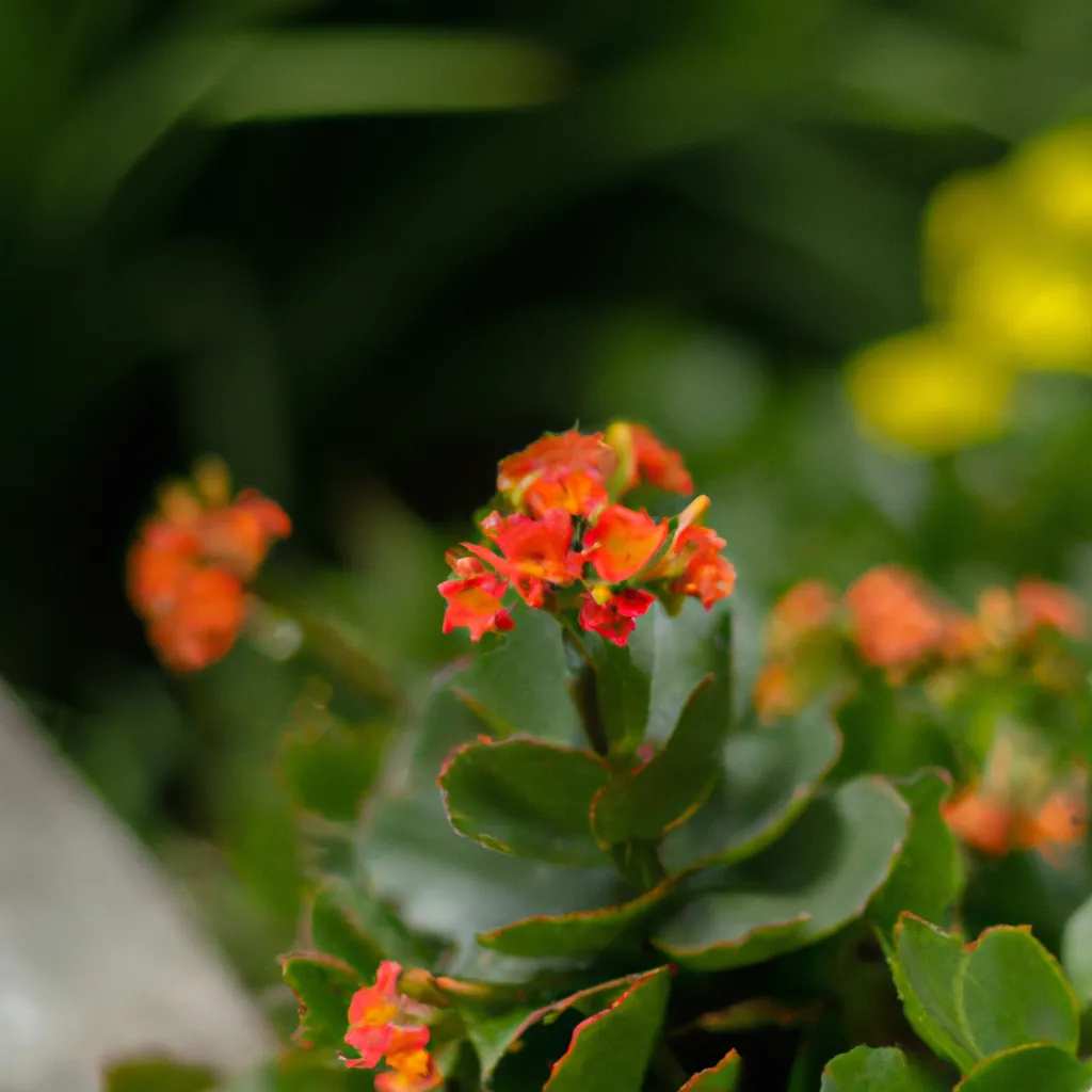 Passo Passo Como Escolher a Melhor Flor Ornamental para Seu Jardim Passo Passo Como Escolher a Melhor Flor Ornamental para Seu Jardim