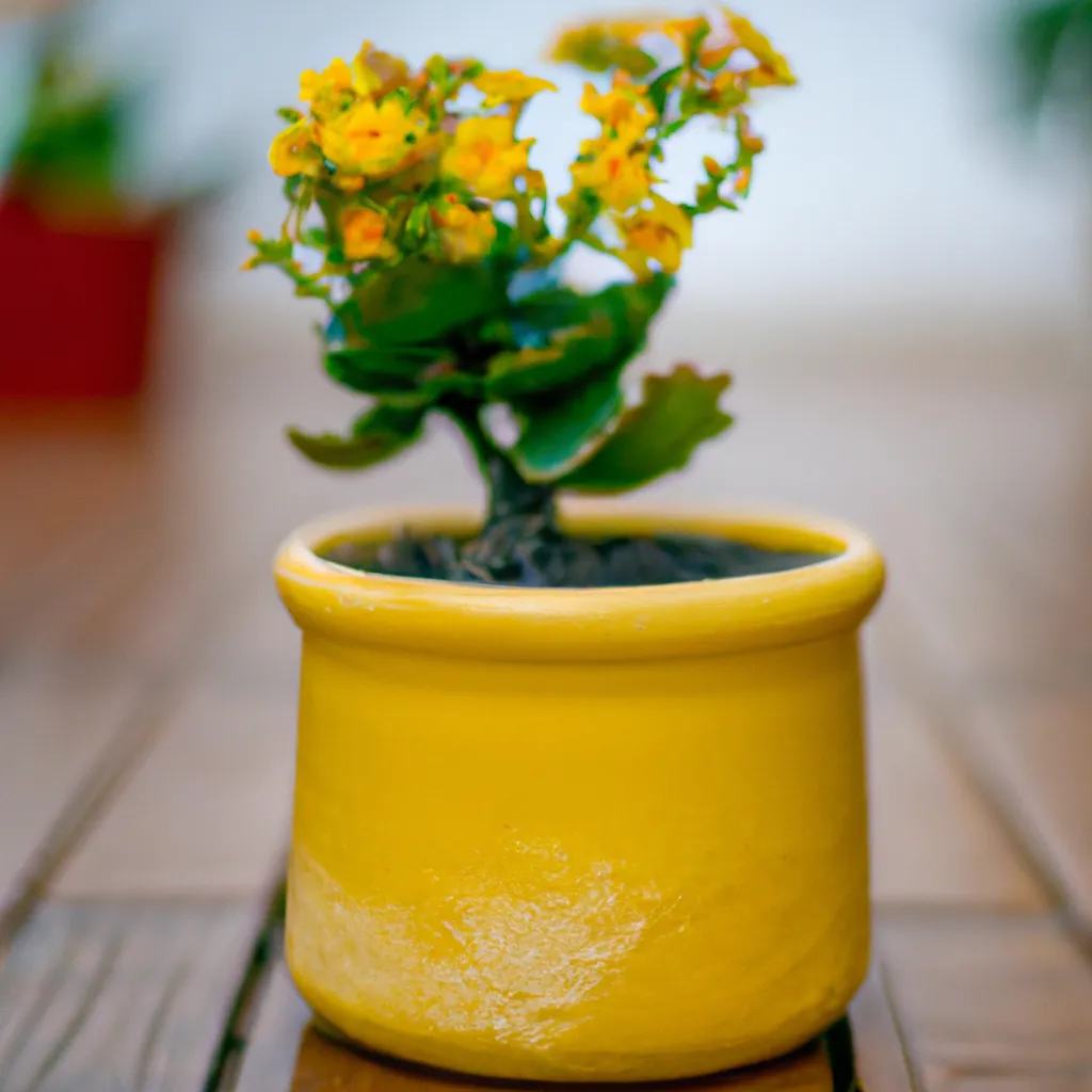 Passo Passo Cultivando Flores Exoticas em Vasos Como Fazer Passo Passo Cultivando Flores Exoticas em Vasos Como Fazer