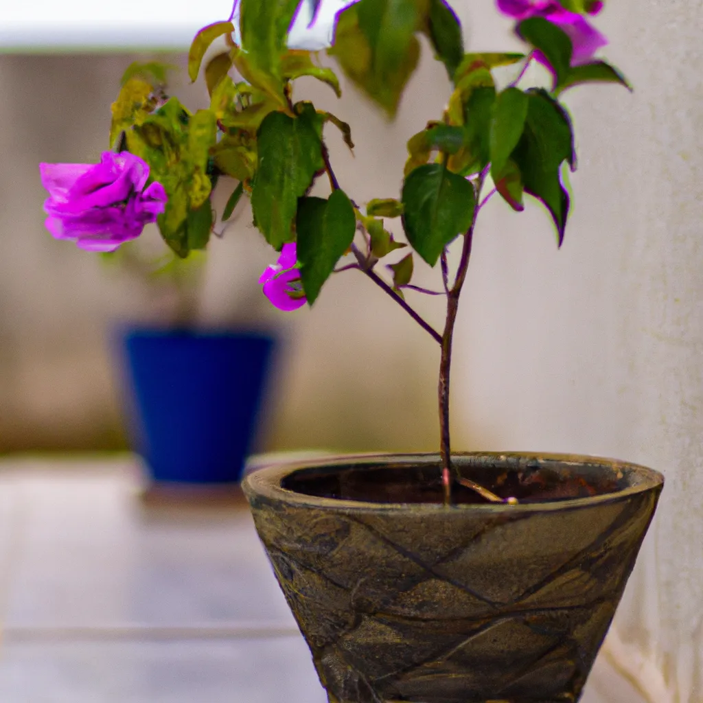 Passo Passo Flores Ornamentais em Vasos Como Plantar e Cuidar