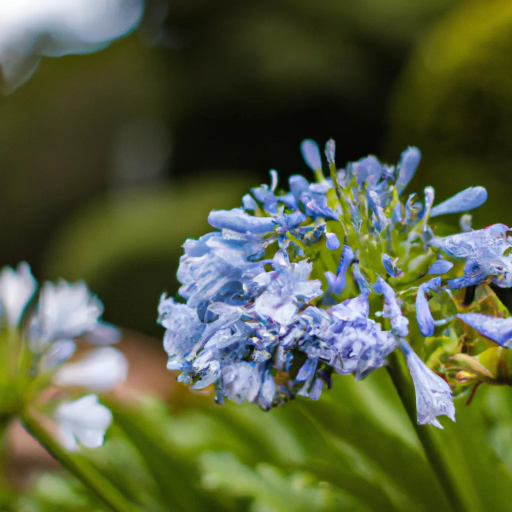 Passo Passo Guia Pratico Para Escolher o Melhor Tipo De Ferramenta Para Seu Jardim