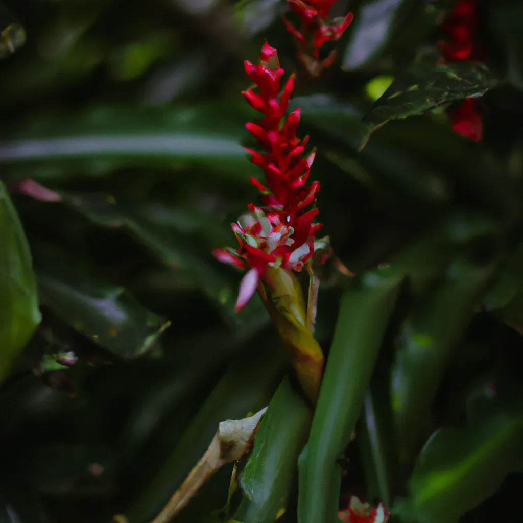 Passo Passo O que torna as plantas tropicais tao unicas