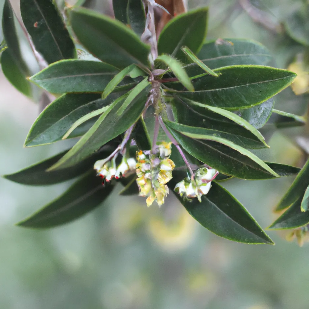 Passo Passo Os beneficios para a saude das flores aromaticas