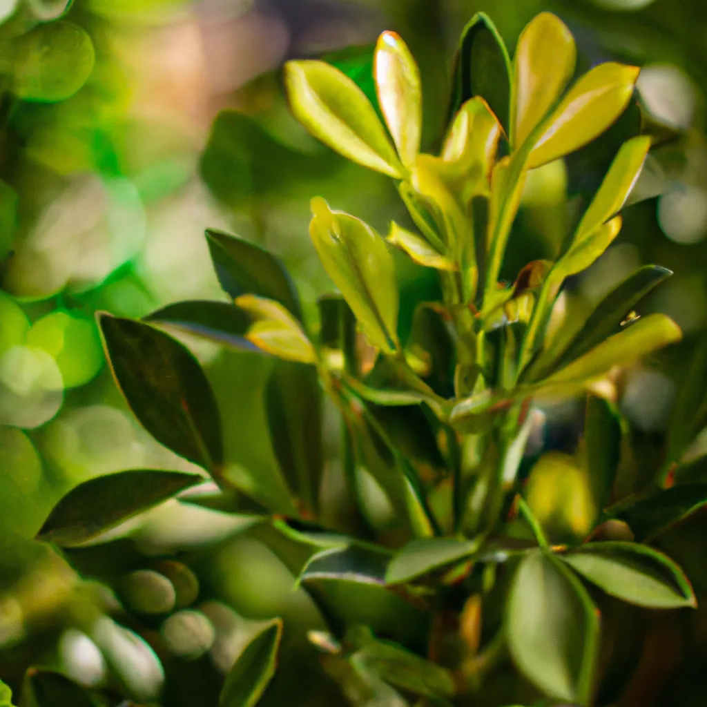 Tutorial Culitvando especies ameacadas de extincao nos seus jardins de arbustos