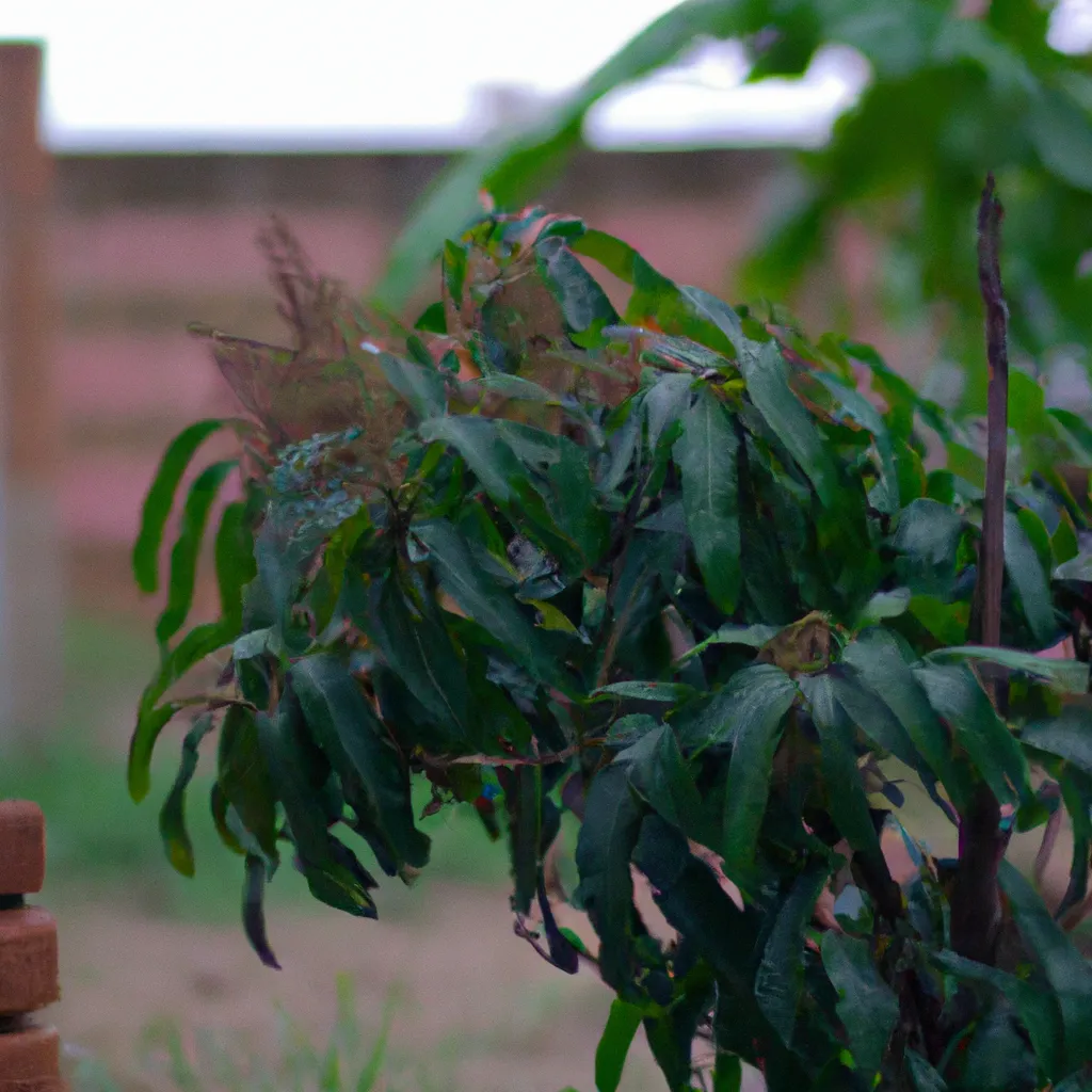 Tutorial Cultivar arvores frutiferas no jardim domestico