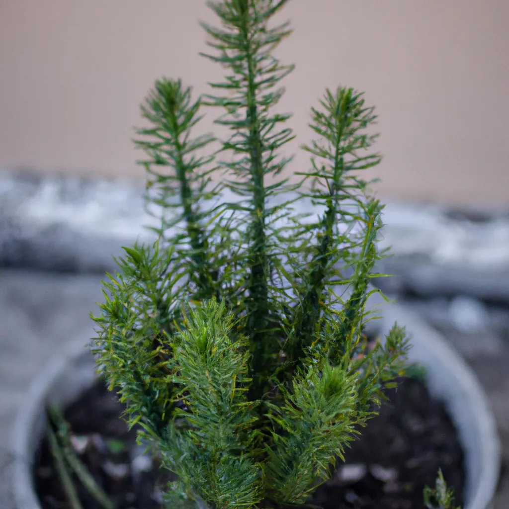 Tutorial O que voce precisa saber sobre plantas resistentes as pragas